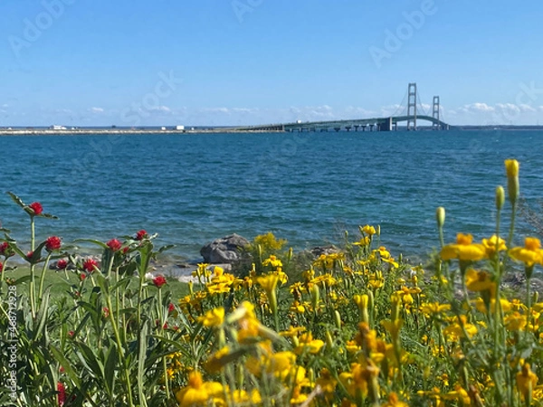 Obraz bridge over the river