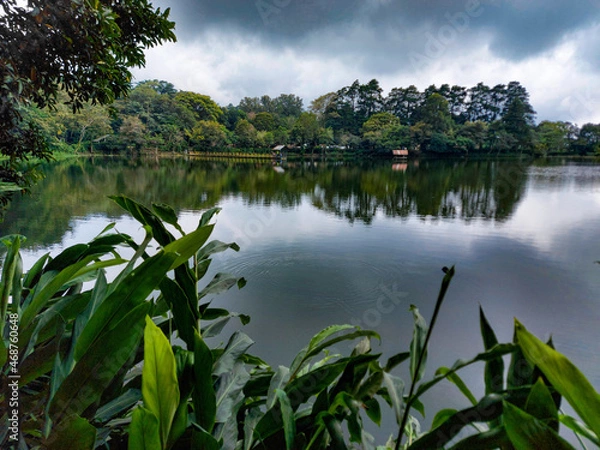 Obraz lake and forest