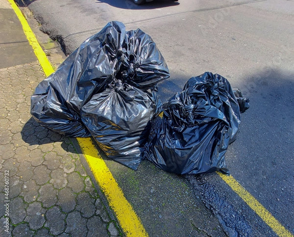 Fototapeta garbage bin in the park
