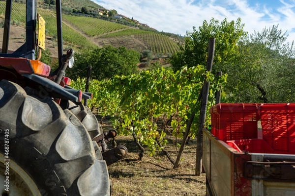 Fototapeta tractor in a field