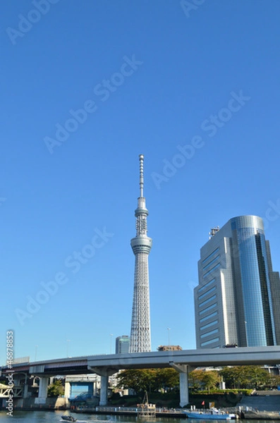 Obraz 東京スカイツリー　墨田区役所
