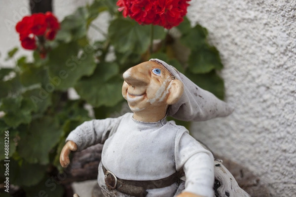 Obraz gnomo in a garden