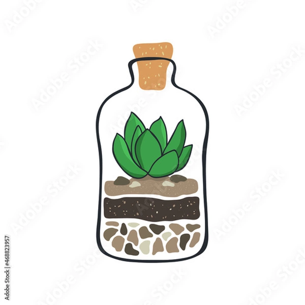 Fototapeta Cactus succulent in a glass bottle. Succulent in terrarium. Regular cacti succulent. Hygge lifestyle vector collection.