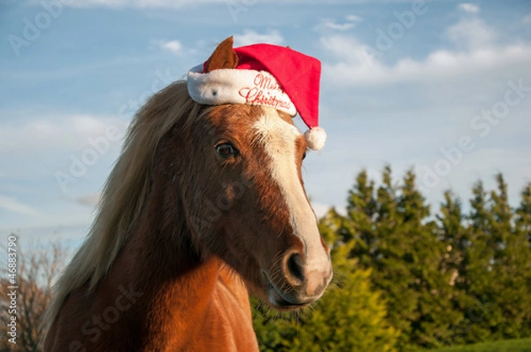 Fototapeta Christmas message