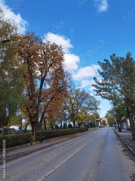 Obraz road in the park