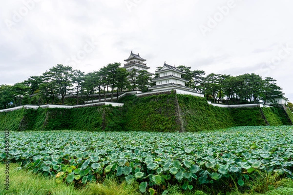 Fototapeta 島原城