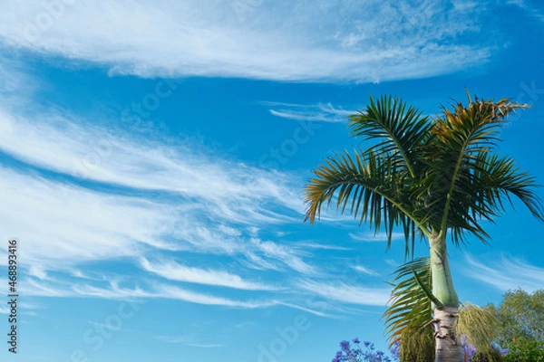 Obraz landscapes with clouds