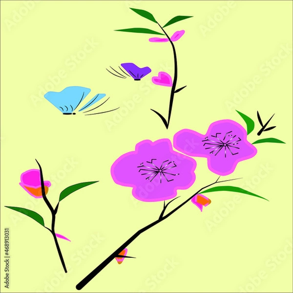 Obraz flowers and butterflies