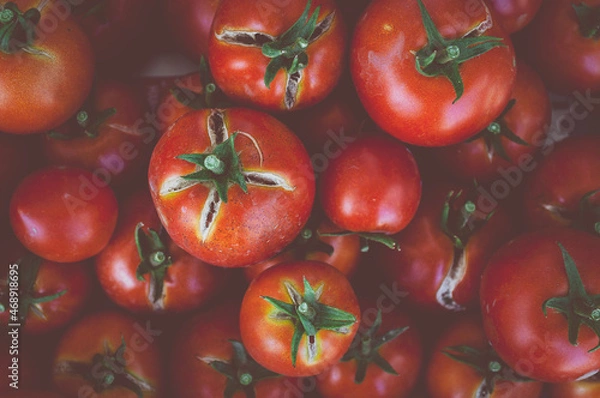 Fototapeta A fresh organic raw and sweet red tomatoes food background. Top view. 