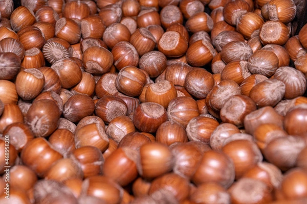 Obraz background of hazelnuts in the shell