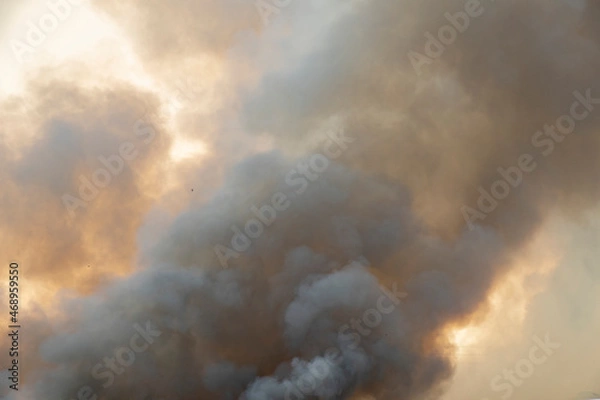 Fototapeta smoke pattern background of fire burn in grass fields