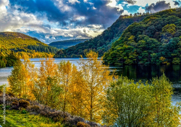 Obraz Autumn landscape