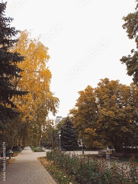 Obraz autumn in the park