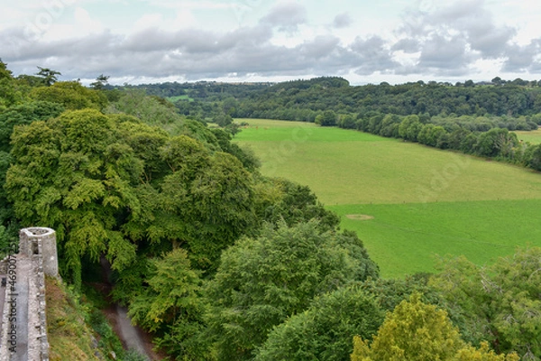 Fototapeta landscape with trees