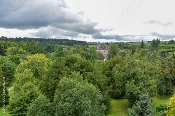 Fototapeta  Irish landscape with trees