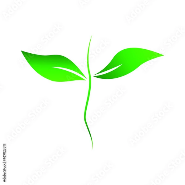 Fototapeta Stem and leaf logo template element