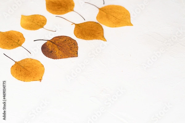 Obraz Flatlay composition autumn yellow leaves white relief background. Side view 