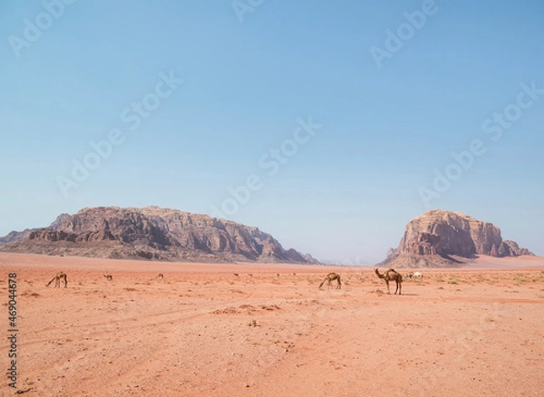 Fototapeta Scenic view from Wadi Rum rocky desert, in Jordan. Desert landscape