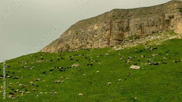 Obraz a flock of sheep on the background of a cloud and mountains