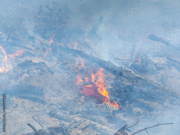 Obraz a fire of twigs and smoke