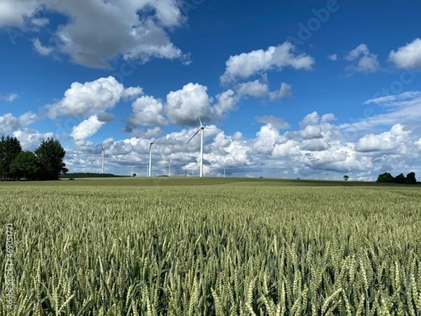 Fototapeta Schwäbische Alb bei Böhmenkirch in der nähe von Ulm Schwäbisch Gmünd Geislingen Aalen Heidenheim - Windrad Windkraftanlage