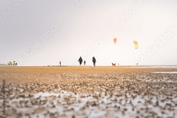 Fototapeta Walkers with dogs and kites in hazy weather on the beach of Föhr