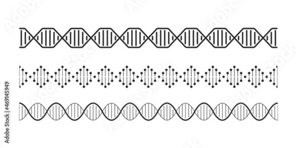 Fototapeta DNA elements. Helix double chromosomes model molecule. Seamless spiral line. Graphic braid. Scientific infographic template. Encoded genetic information. Vector genome linear prints set