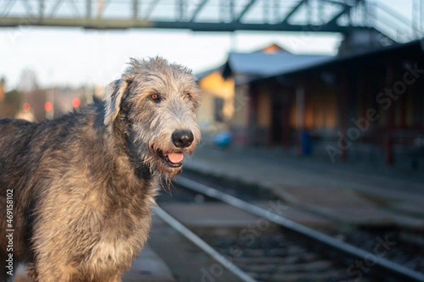 Obraz Waiting for a train.