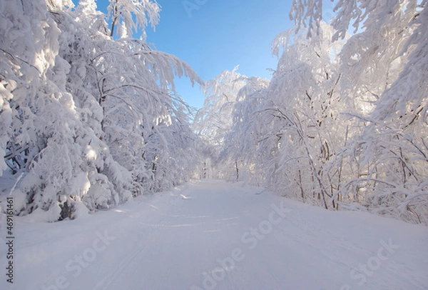 Obraz Winter