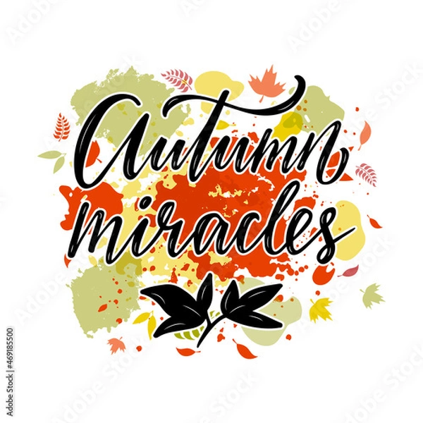 Fototapeta Vector illustration of autumn miracles lettering for banner, advertisement, postcard, poster, product design. Handwritten creative text for autumn festival for web or print
