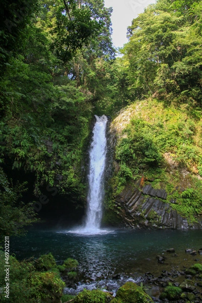 Fototapeta 浄蓮の滝