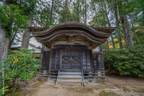 Fototapeta 金剛峯寺
