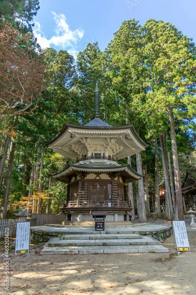 Fototapeta 高野山壇上伽藍