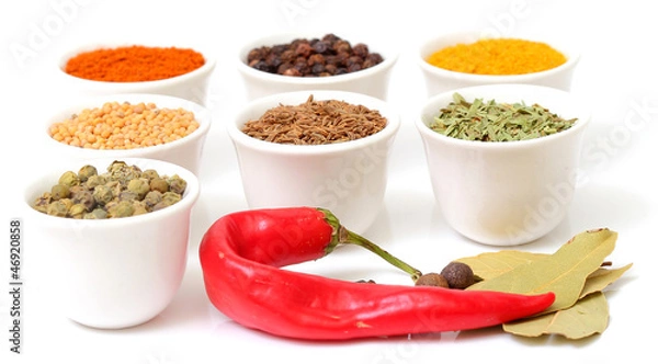 Obraz Spices and herbs