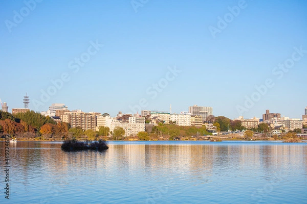 Fototapeta 秋の千波湖