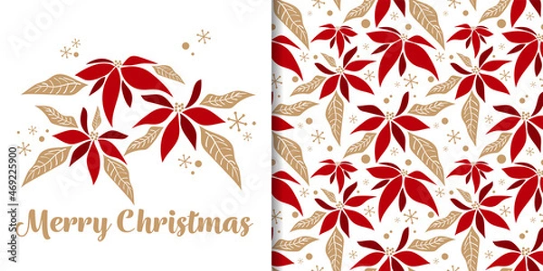 Fototapeta Christmas holiday season banner of Merry Christmas text and seamless pattern of Christmas winter poinsettia flower branches decorative and snowflakes on white background. Vector illustration.