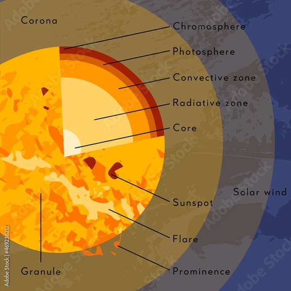 Fototapeta Sun internal structure. Solar model, star diagram. Core, radiative, convective zone, atmosphere, corona. Magnetic activity: sunspot, flare, prominence. Astronomy. Vector flat cartoon illustration