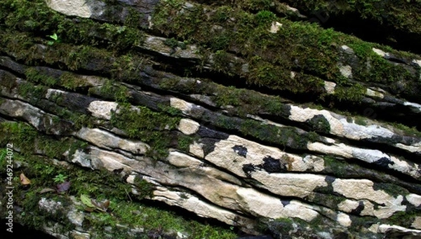 Fototapeta Texture of gray limestone rock with cracks and moss