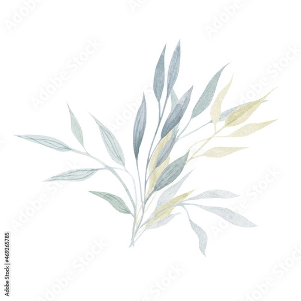 Fototapeta Delicate watercolor leaves, greenery for wedding, anniversary cards, invitations, congratulations. Decorative elements for design.