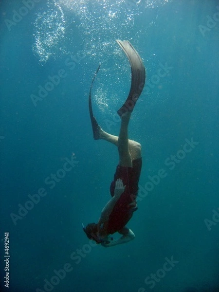 Obraz Freediver