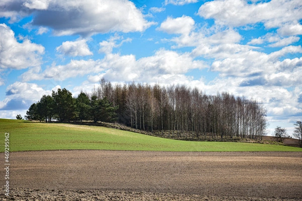 Obraz landscape with sky