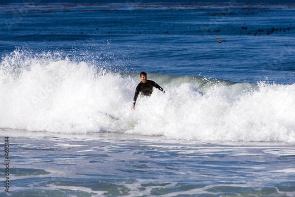 Obraz Surfing