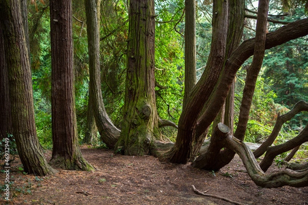 Obraz Sammezzano Castello