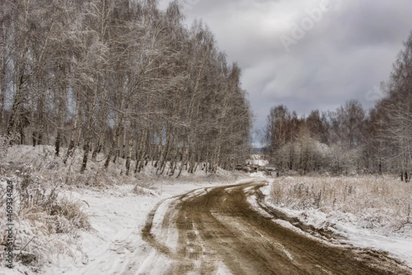 Fototapeta Autumn landscape with the first snowfall in the Urals (Russia). Birches with loose leaves artistically bent to the road leading to the village. Wet tire tracks stand out in relief against white snow