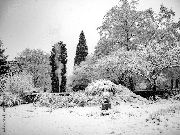 Obraz winter forest landscape