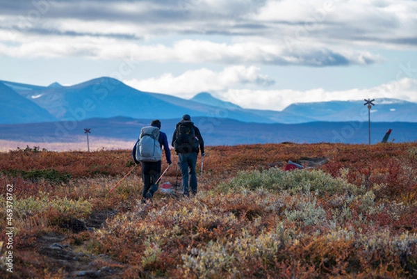 Obraz Friends Trail running in outdoors or Trekking clothings with Backpacks on high mountain in Pieljekaise national park South of Jakkvik Sweden.