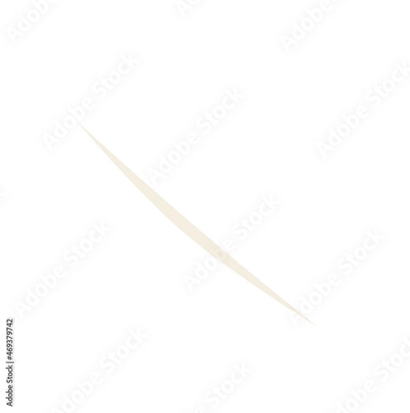 Fototapeta feather white