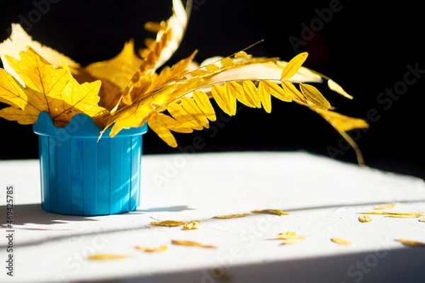 Obraz Autumn background bouquet yellow dry acacia maple leaves blue vase hard light
