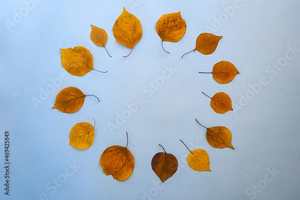 Obraz Flatley circular text frame autumn dry leaves blue background. Top view