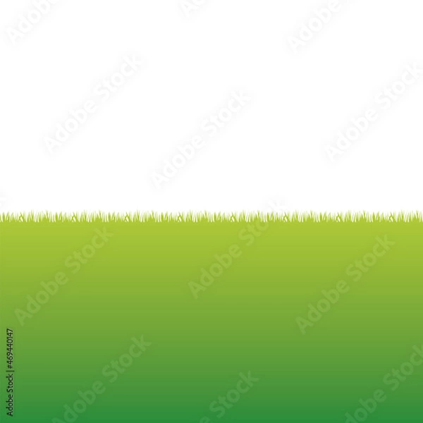 Fototapeta 草原　草むら　原っぱ グラデーション